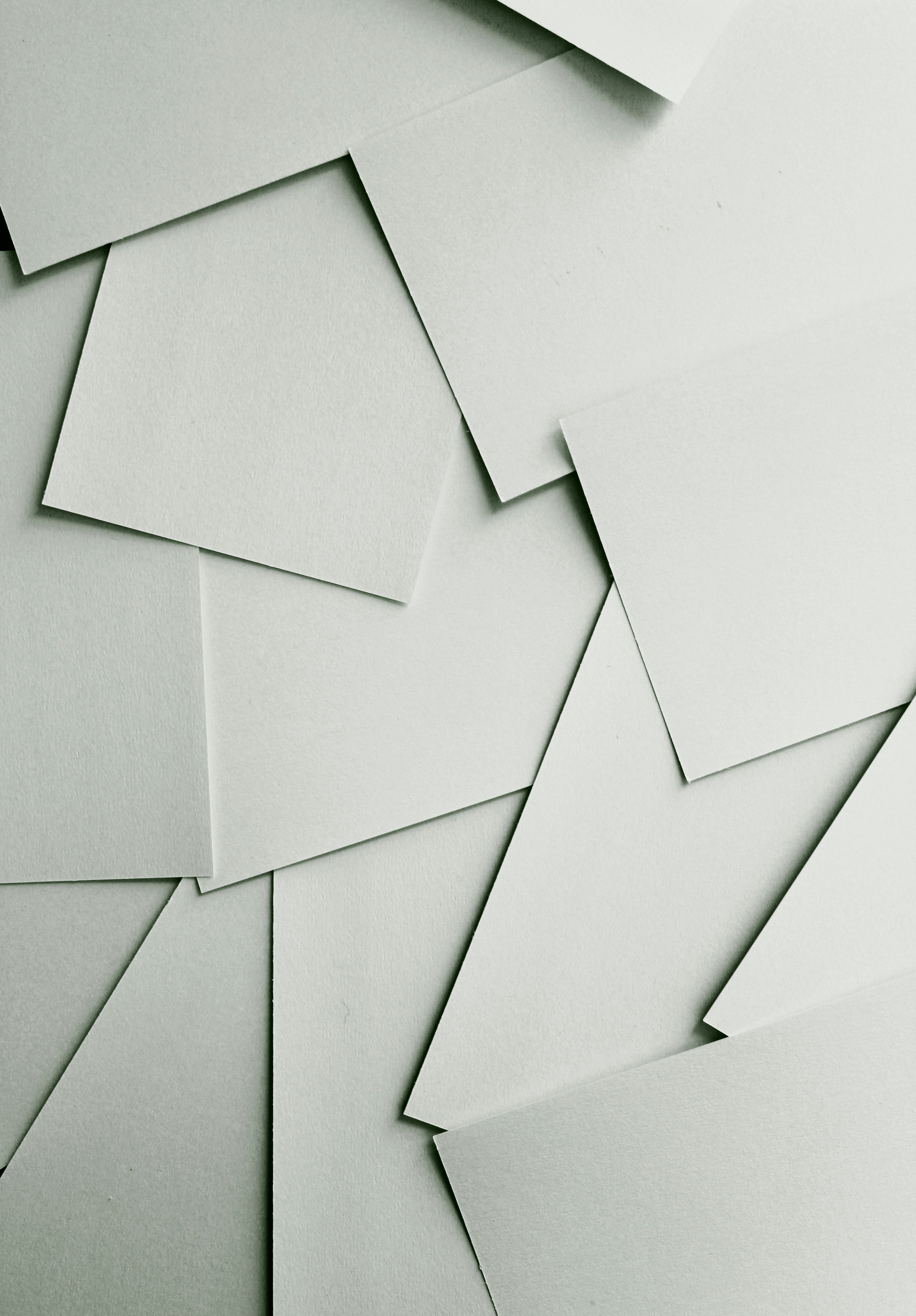 Korrektorat: author: Brandi Redd - unsplash 